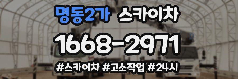 명동2가 스카이차