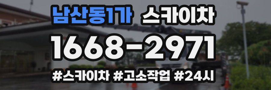 남산동1가 스카이차