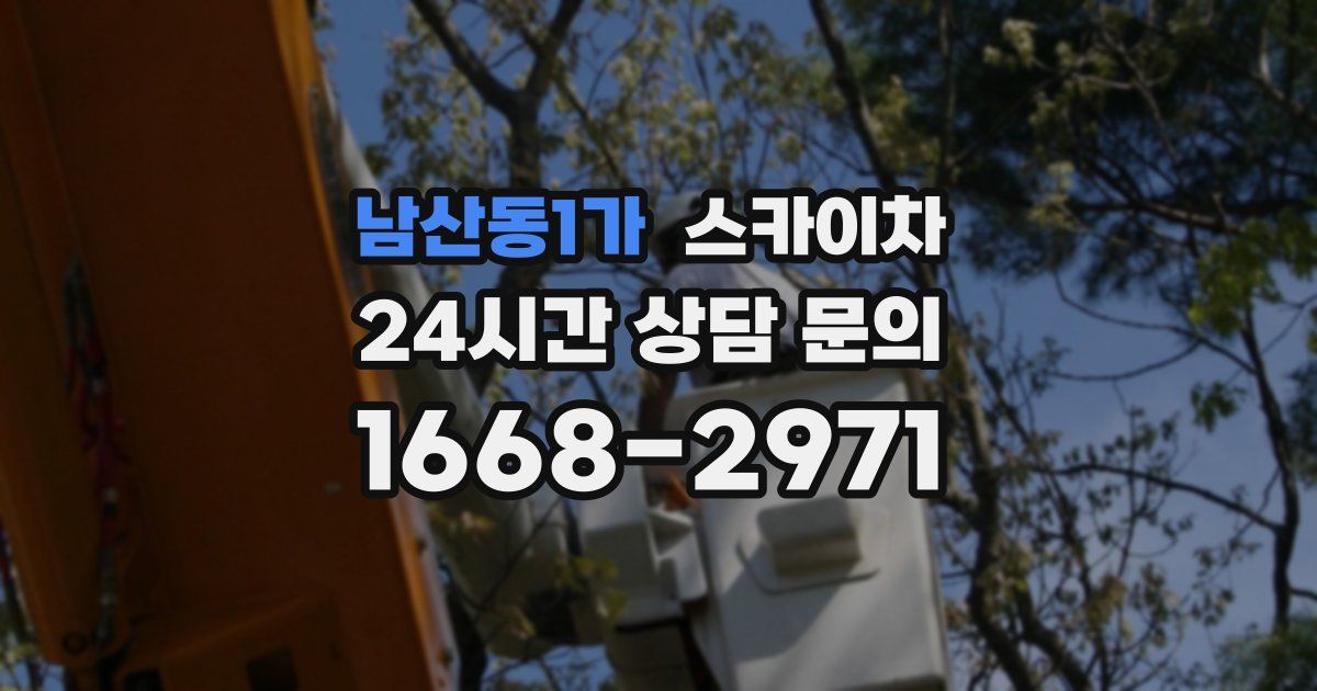 남산동1가 스카이차