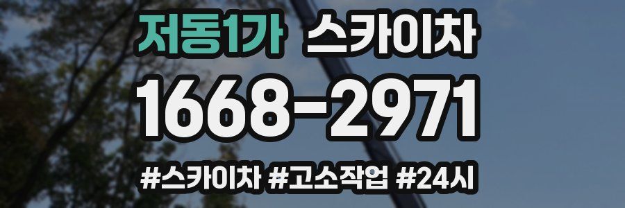 저동1가 스카이차