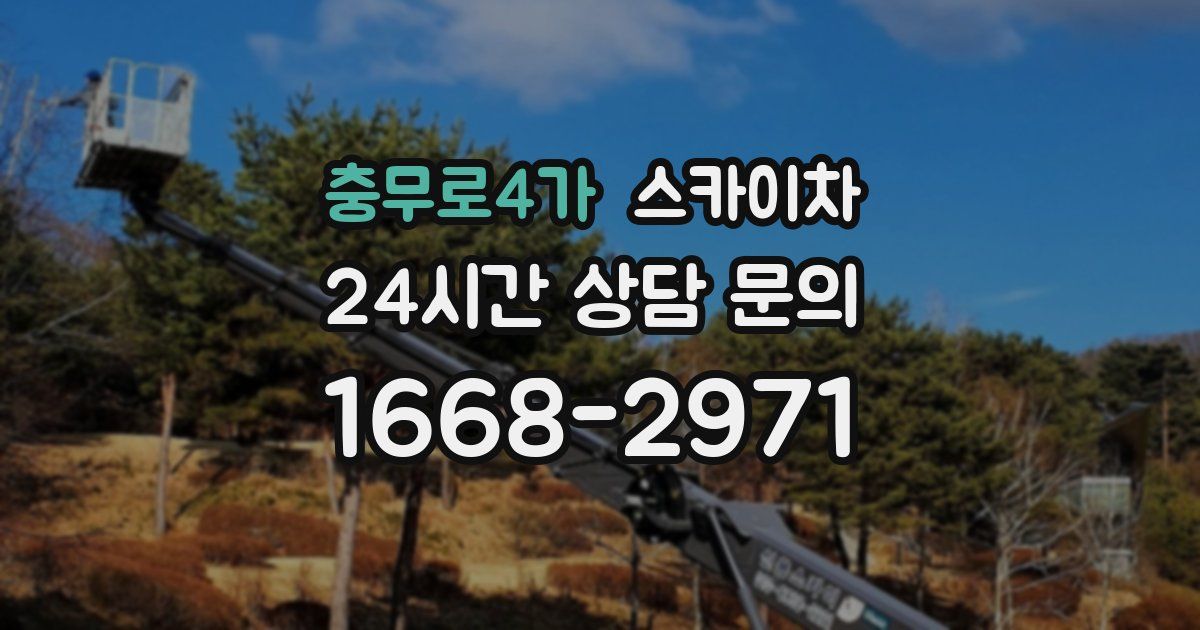 충무로4가 스카이차