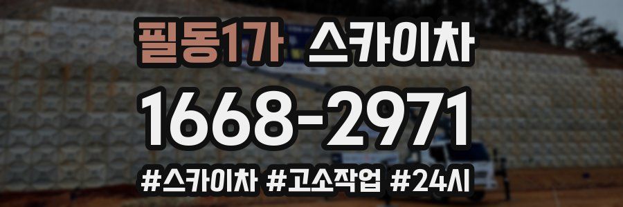 필동1가 스카이차