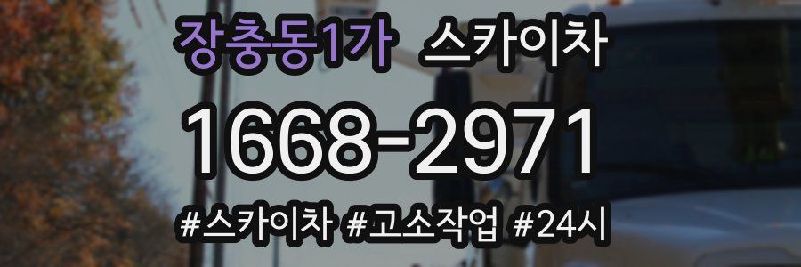 장충동1가 스카이차