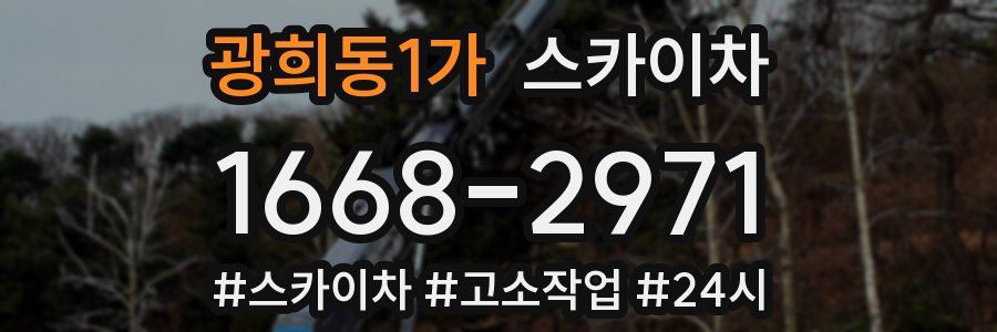 광희동1가 스카이차
