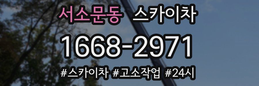 서소문동 스카이차