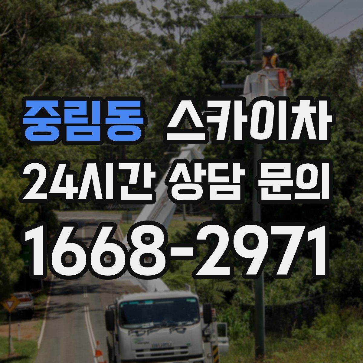 중림동 스카이차 나무 가지 전정 작업에 활용하는 방법