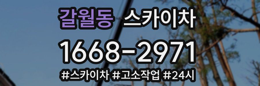 갈월동 스카이차