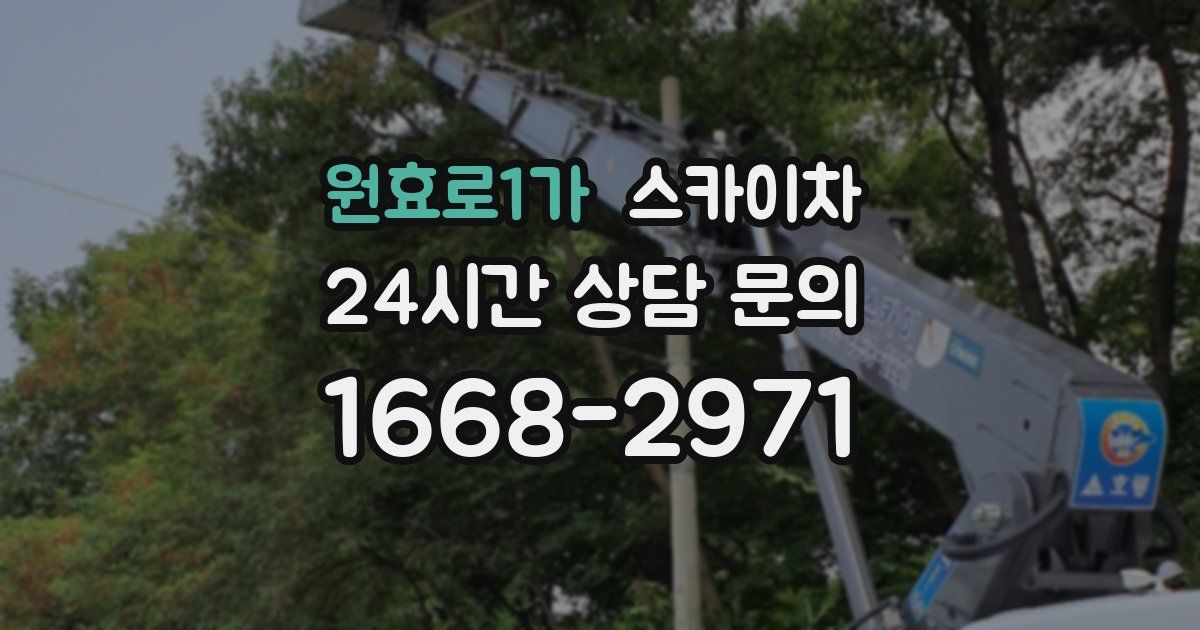 원효로1가 스카이차