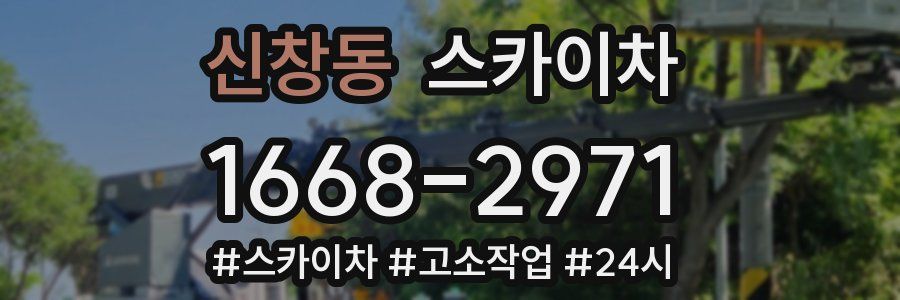신창동 스카이차