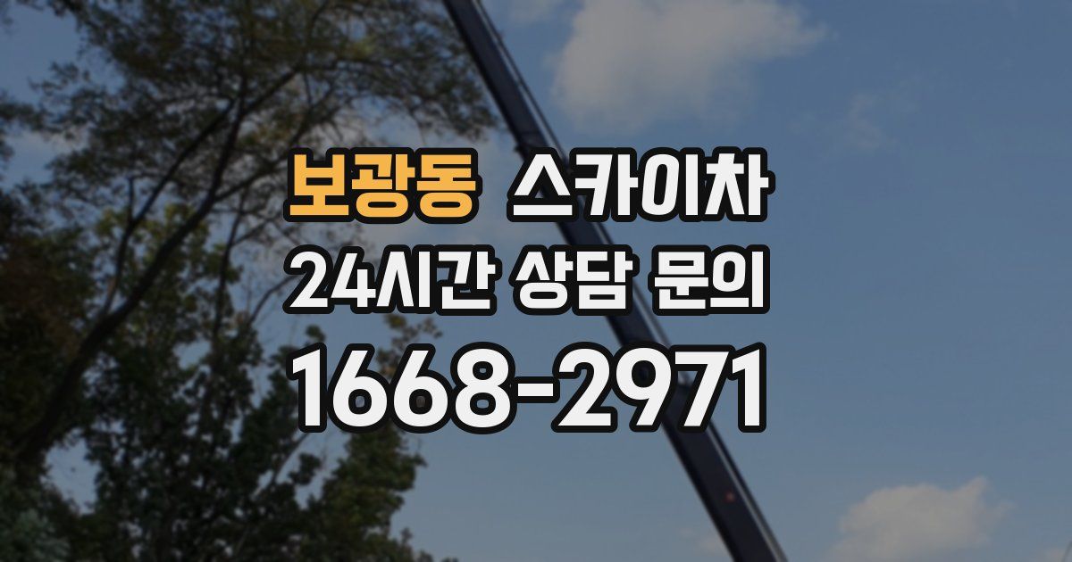 보광동 스카이차