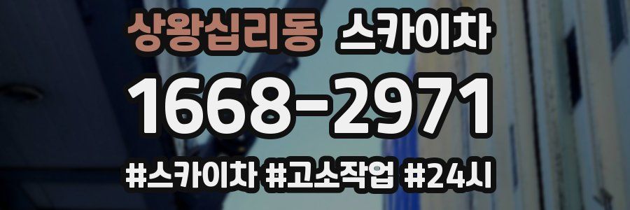 상왕십리동 스카이차