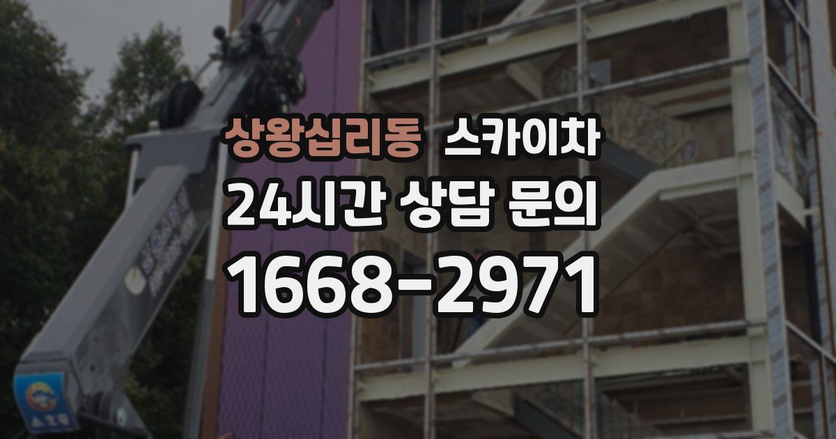 상왕십리동 스카이차