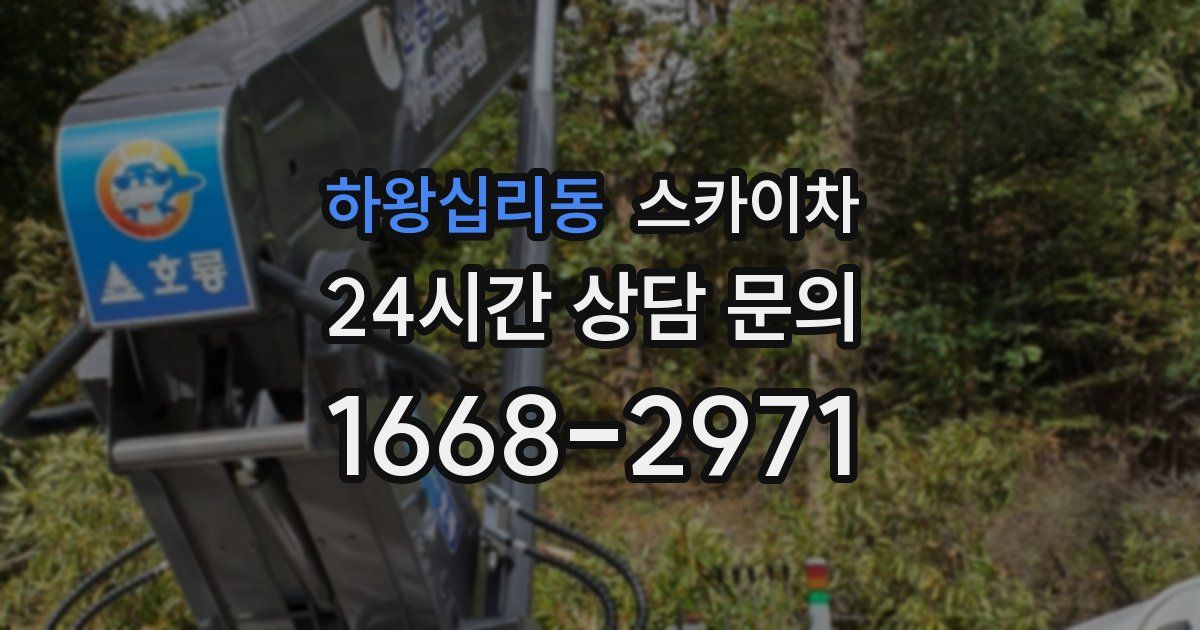 하왕십리동 스카이차