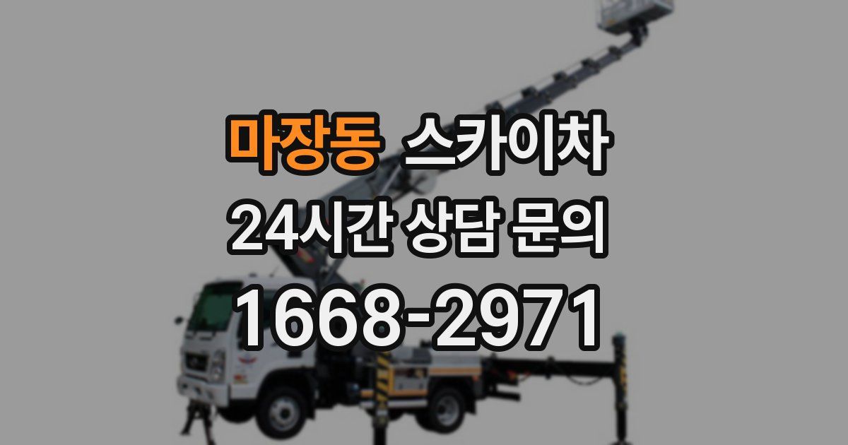 마장동 스카이차