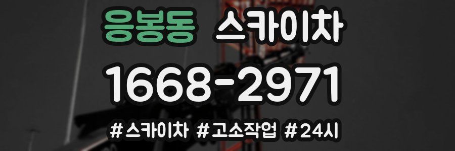 응봉동 스카이차