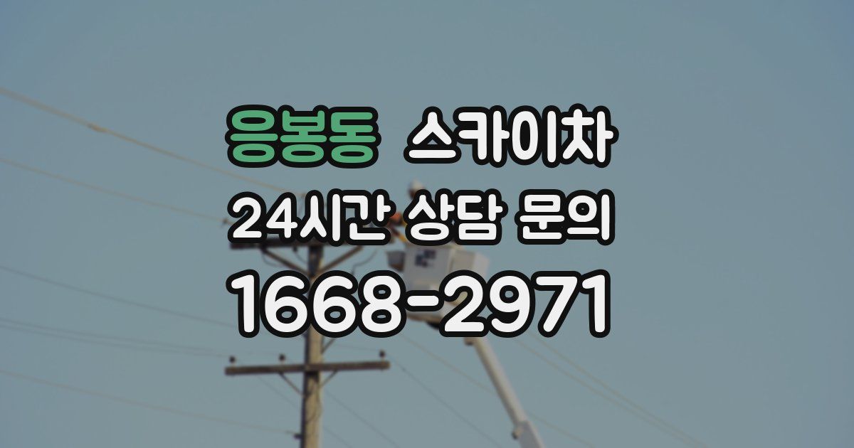 응봉동 스카이차