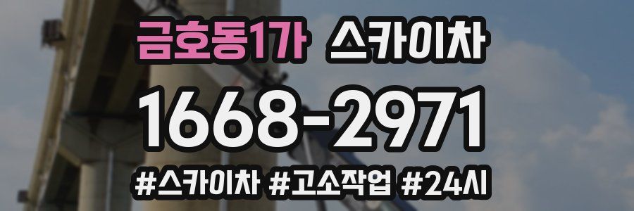 금호동1가 스카이차