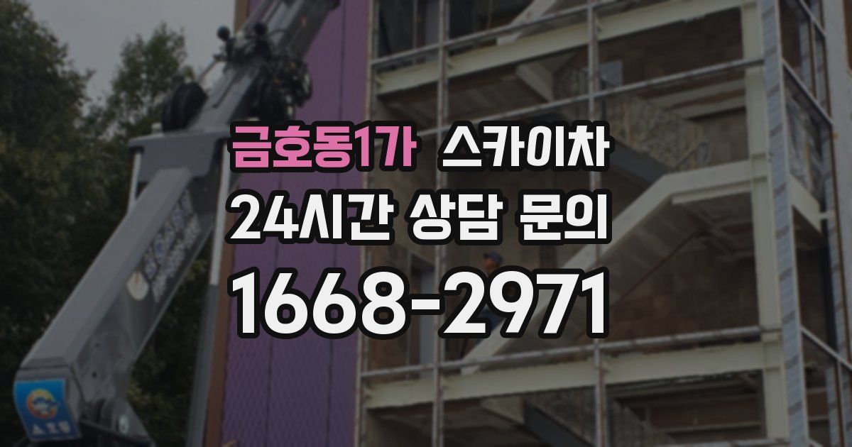 금호동1가 스카이차