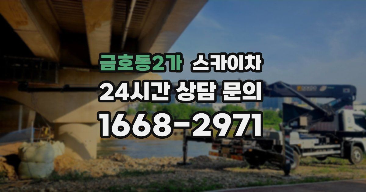 금호동2가 스카이차