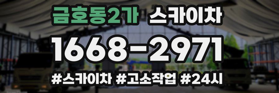 금호동2가 스카이차