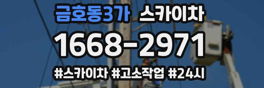 금호동3가 스카이차