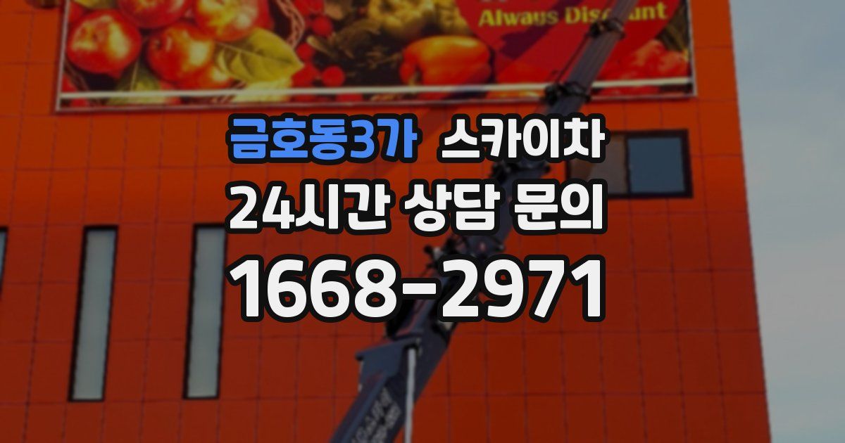 금호동3가 스카이차