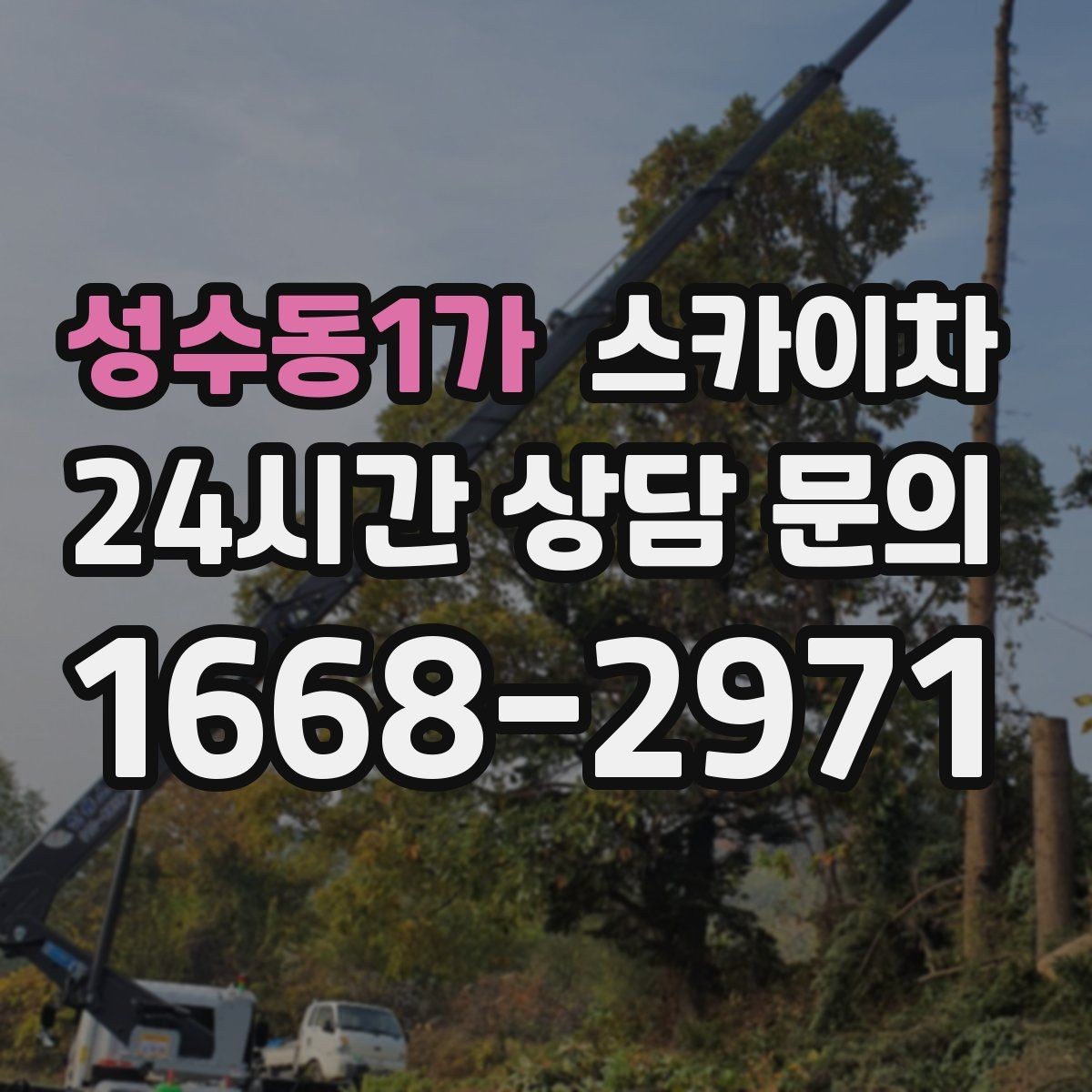 성수동1가 스카이차 안전한 고소 작업을 위해 꼭 확인할 것