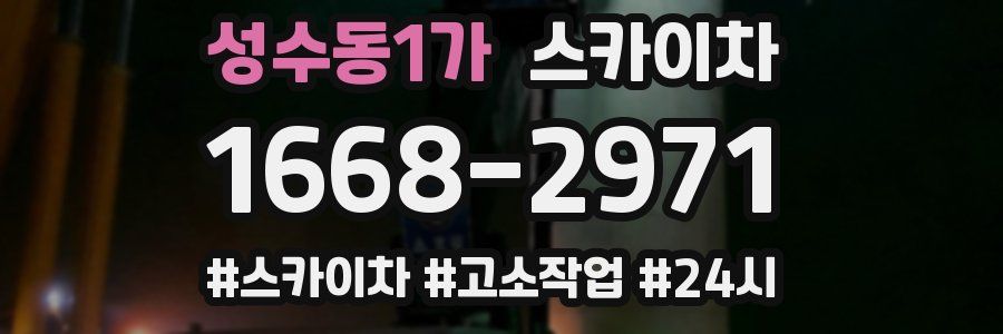 성수동1가 스카이차