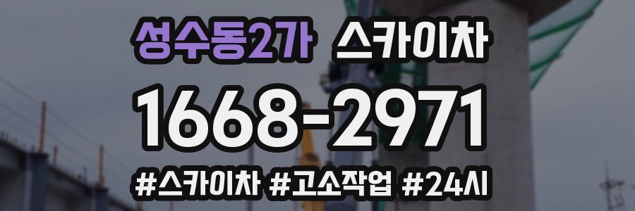 성수동2가 스카이차