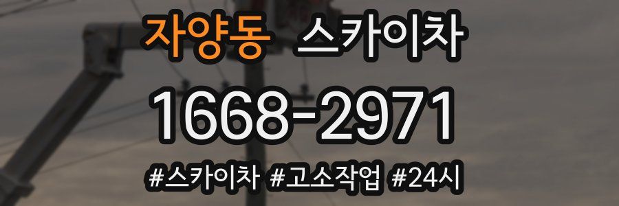 자양동 스카이차