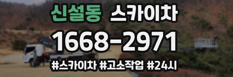 신설동 스카이차