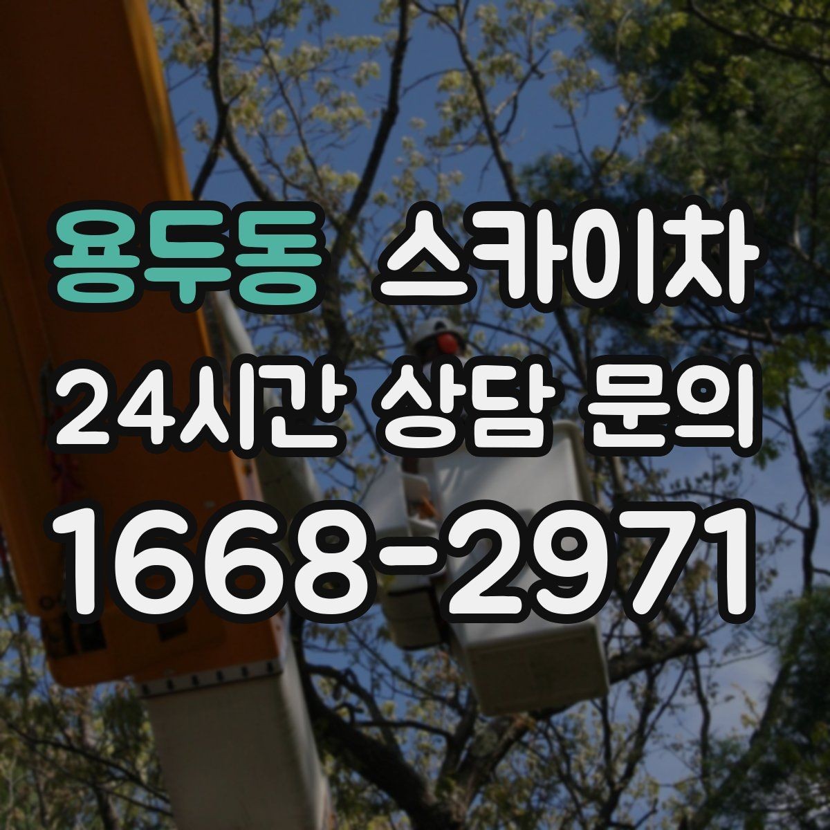 용두동 스카이차 간판 조명 수리 작업을 빠르게