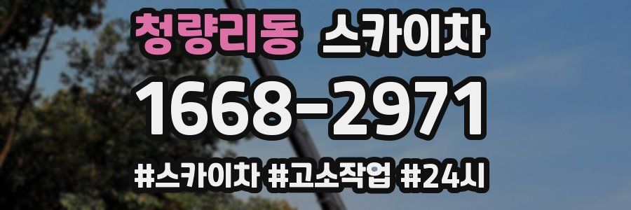 청량리동 스카이차