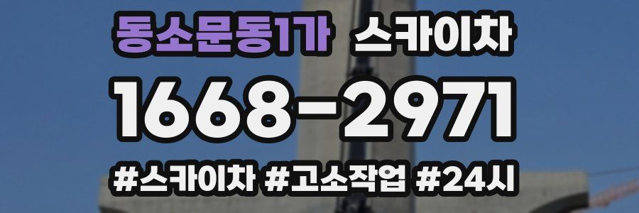 동소문동1가 스카이차