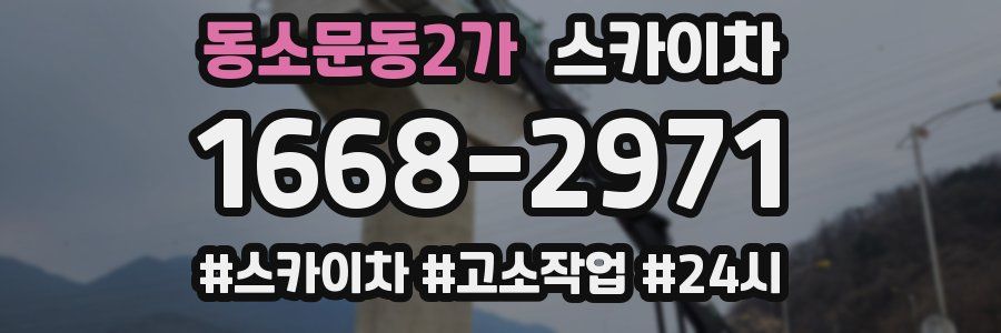 동소문동2가 스카이차