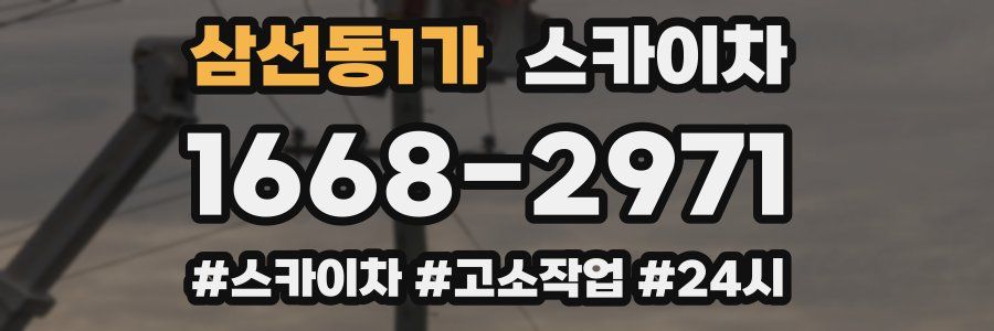 삼선동1가 스카이차