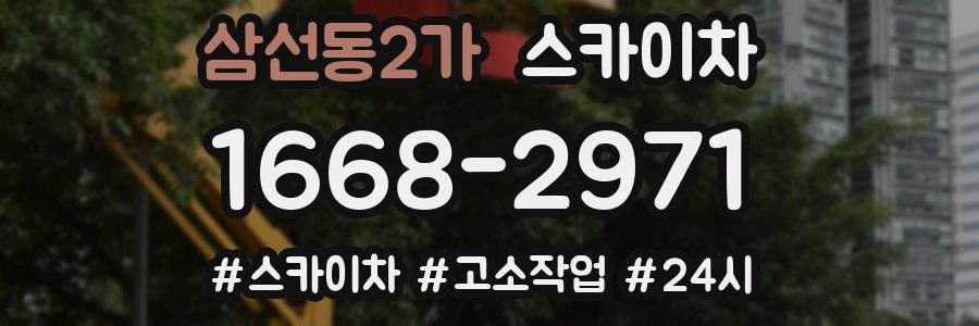 삼선동2가 스카이차