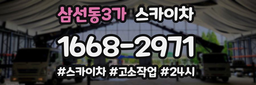 삼선동3가 스카이차