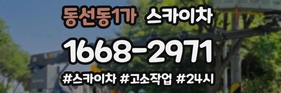 동선동1가 스카이차