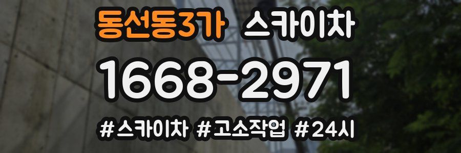 동선동3가 스카이차