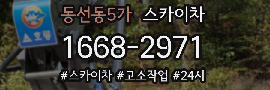 동선동5가 스카이차