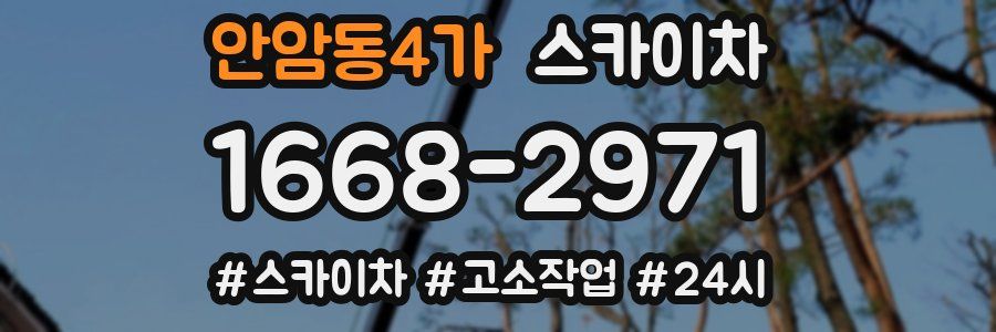 안암동4가 스카이차