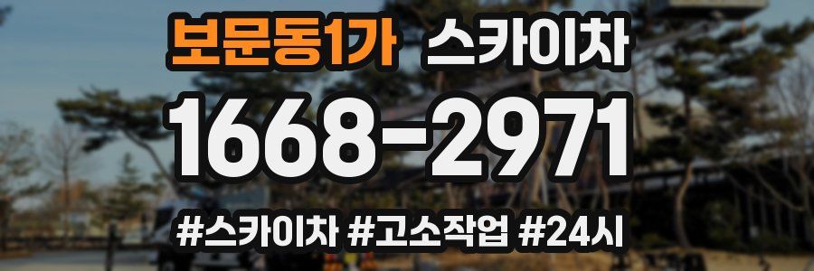 보문동1가 스카이차