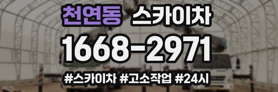 천연동 스카이차