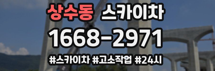 상수동 스카이차