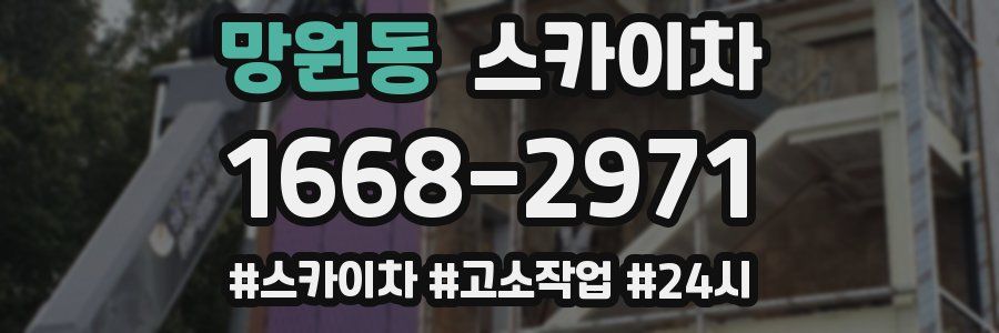 망원동 스카이차