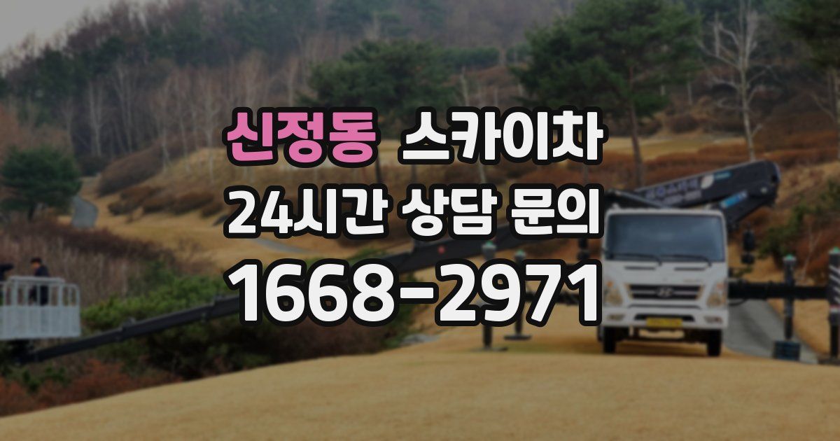 신정동 스카이차