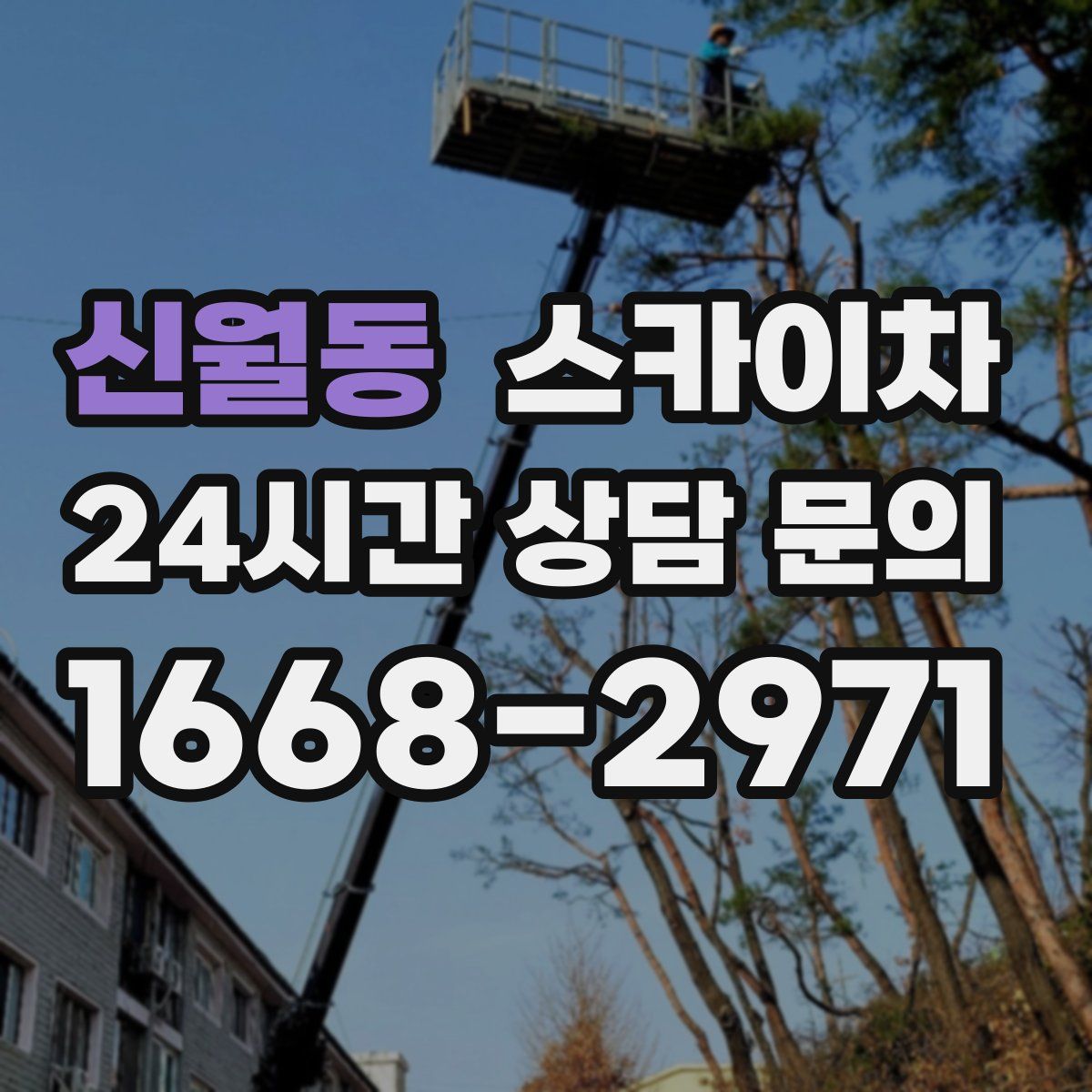 신월동 스카이차