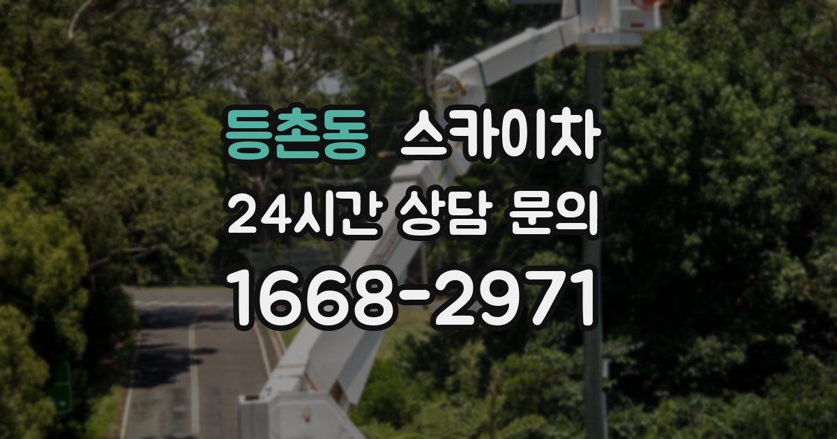 등촌동 스카이차