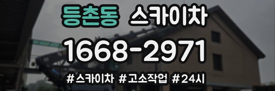 등촌동 스카이차